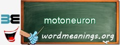 WordMeaning blackboard for motoneuron